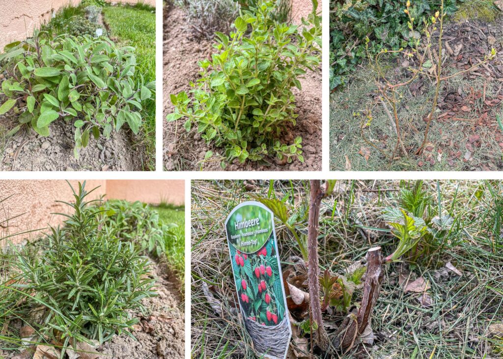 10 Gartenarbeit im März